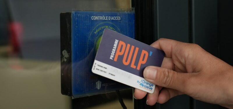 PULP